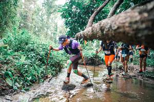 BIB: 
                            <button type="button" onclick="openModal(25374729)" class="btn btn-primary btn-sm float-right btn-popup" data-toggle="modal" data-target=".modal-high-quality">
                        <i class="fas fa-shopping-cart"></i> Add to Cart
                    </button>
                                            <button type="button" onclick="isThisMe(25374729, true)" class="btn btn-success btn-sm float-right btn-popup btn-isme hidden" data-toggle="tooltip" data-placement="bottom" title="นี่คือรูปของคุณใช่ไหม คลิกที่นี่เพื่อเอาเข้าอัลบั้ม">
                        <i class="fas fa-plus"></i> Add to album
                    </button>
                    <button type="button" onclick="isThisMe(25374729, false)" class="btn btn-warning btn-sm float-right btn-popup btn-isnotme hidden">
                        <i class="fas fa-ban"></i> Remove from album
                    </button>